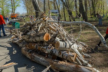 Зауральная роща готова встречать гостей
